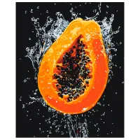 Pictură pe numere BrushMe Explozia papayei suculente BS54145FC 50 x 40 cm / Verticală