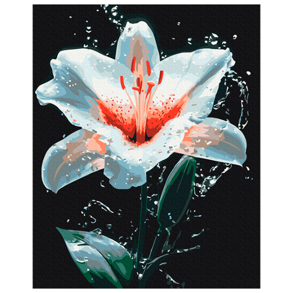 Картина по номерам BrushMe Сияние лилии BS54156FC 50 x 40 см / Вертикальная photo 1