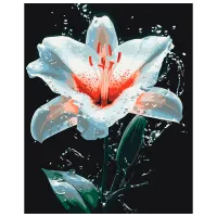 Pictură pe numere BrushMe Strălucirea crinului BS54156FC 50 x 40 cm / Verticală