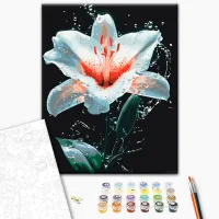 Pictură pe numere BrushMe Strălucirea crinului BS54156FC 50 x 40 cm / Verticală photo 2