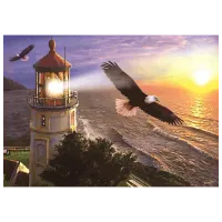 Puzzle Art Puzzle High Flight at Sunrise 15+/ Numărul de piese: 1000 photo 2