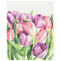 Pictură pe numere BrushMe Lalele de dimineață BS53939FC 50 x 40 cm / Verticală