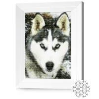 Мозайка New World Husky și ninsoare / photo 2