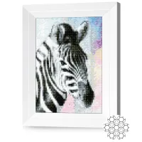 Mozaic New World Zebra / photo 2