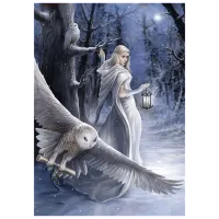 Puzzle Art Puzzle Midnight Herald 15+/ Количество деталей: 1000 photo 2