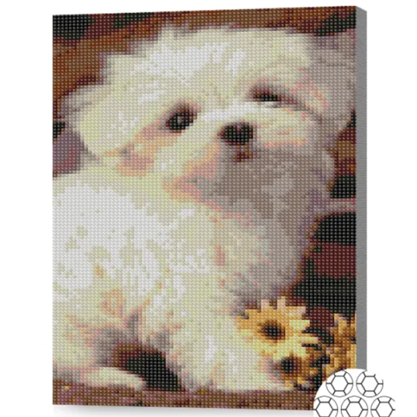 Мозайка Art Galery Premium Cateluș alb  /  photo 2 Мозайка Art Galery Premium Cateluș alb  /  photo 2