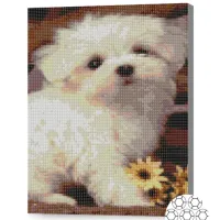 Мозайка Art Galery Premium Cateluș alb / photo 2