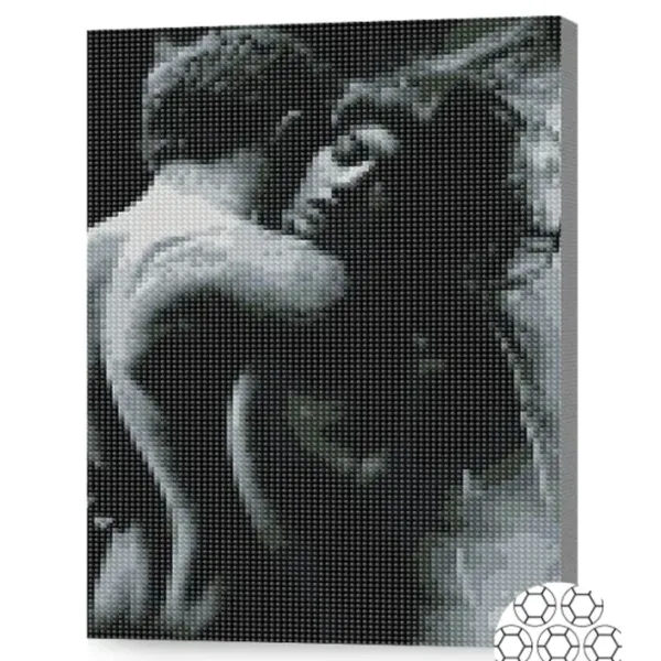 Mozaic Art Galery Premium Pasiunea in nuante alb-negru   /  photo 2 Mozaic Art Galery Premium Pasiunea in nuante alb-negru   /  photo 2