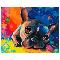 Pictură pe numere BrushMe Bulldog colorat BS28895FC 50 x 40 cm / Orizontală