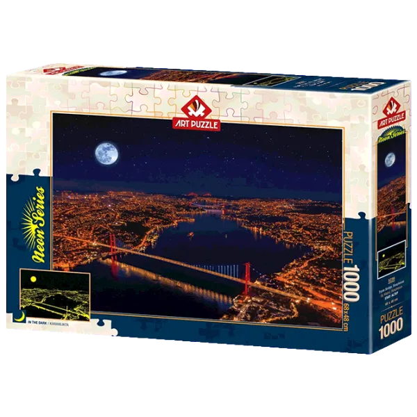 Puzzle Art Puzzle Three Bridges, Bosphorus 15+/ Количество деталей: 1000 photo 1