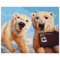 Картина по номерам BrushMe Полярограммa BS53479FC 50 x 40 см / Горизонтальная