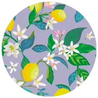 Pictură pe numere BrushMe Înflorirea lămâii RC00047FC 30 x 30 cm / Verticală