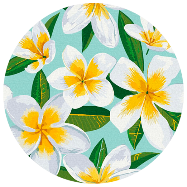 Pictură pe numere BrushMe Plumeria RC00046FC 30 x 30 cm / Verticală photo 1