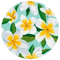 Pictură pe numere BrushMe Plumeria RC00046FC 30 x 30 cm / Verticală