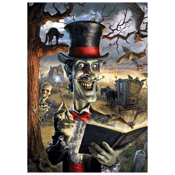 Puzzle Art Puzzle Wizard 8+/ Numărul de piese: 500 photo 2