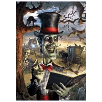 Puzzle Art Puzzle Wizard 8+/ Numărul de piese: 500 photo 2