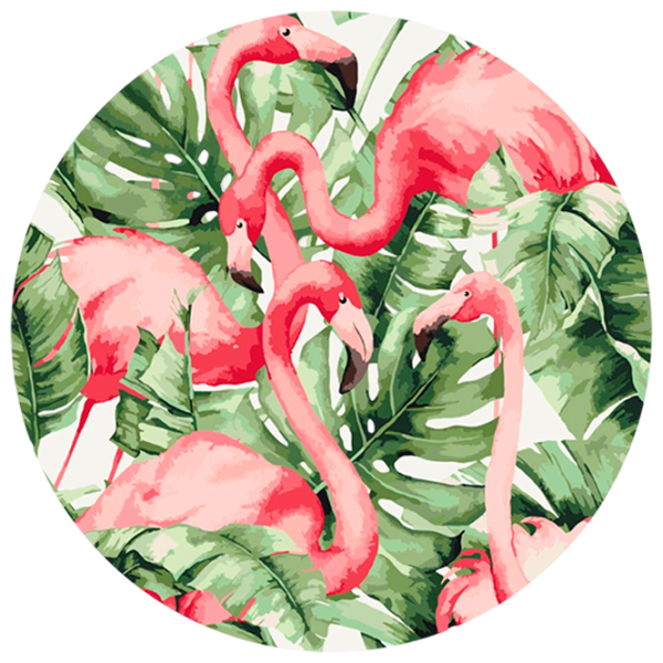 Pictură pe numere BrushMe Flamingo în tropice RC00017FC 30 x 30 cm / Verticală photo 1