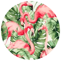 Pictură pe numere BrushMe Flamingo în tropice RC00017FC 30 x 30 cm / Verticală