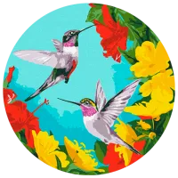 Pictură pe numere BrushMe Colibri în flori RC0001FC 30 x 30 cm / Verticală