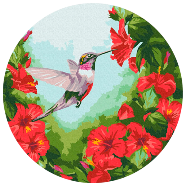 Pictură pe numere BrushMe Colibri RC00012FC 30 x 30 cm / Verticală photo 1