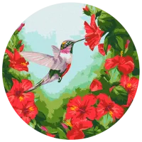 Pictură pe numere BrushMe Colibri RC00012FC 30 x 30 cm / Verticală