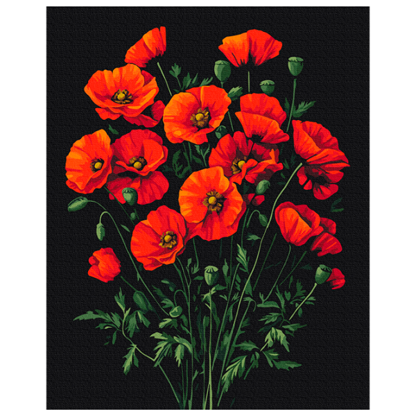 Pictură pe numere BrushMe Farmecul macilor BS54146FC 50 x 40 cm / Verticală photo 1