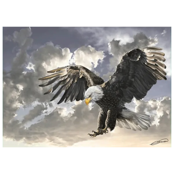 Puzzle Art Puzzle Black and White 8+/ Количество деталей: 500 photo 2