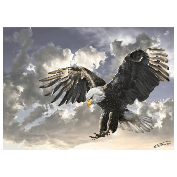 Puzzle Art Puzzle Black and White 8+/ Количество деталей: 500 photo 2