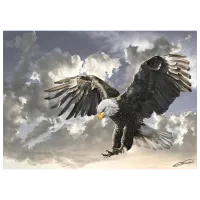 Puzzle Art Puzzle Black and White 8+/ Количество деталей: 500 photo 2