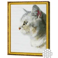 Mozaic Art Galery Premium Profilul motanului / photo 3