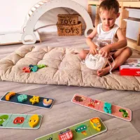 Настольная игра Tooky Toy Memory 3+/ Развитие photo 4