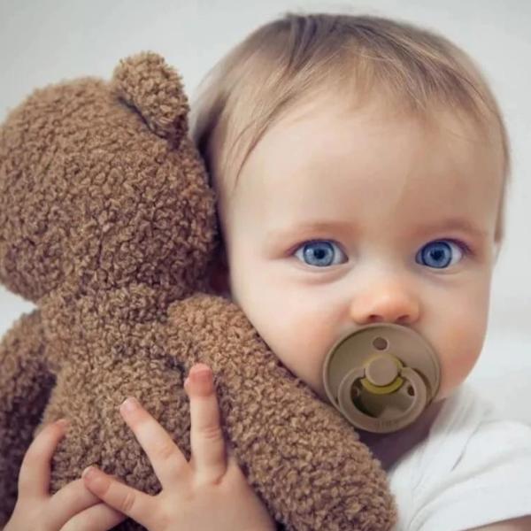 Соска круглая Bibs 300243C  Унисекс / 18 месяцев - 36 месяцев / Латекс / Дуб photo 6