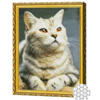 Мозайка Art Galery Premium Prietenul gri / photo 2