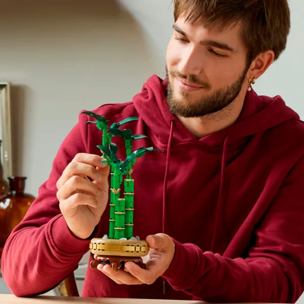 Constructor LEGO Lucky Bamboo Plantă/ Green photo 4