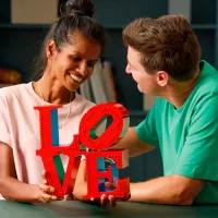 Constructor LEGO Love Simbol/ Red photo 5