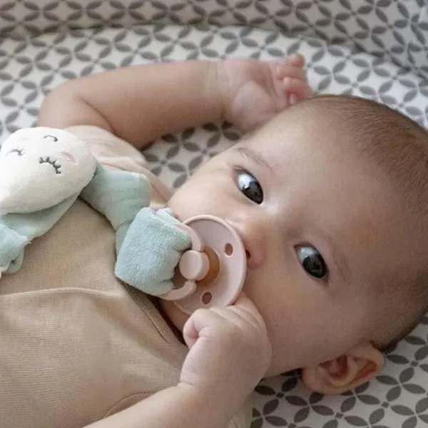 Клипса для пустышки универсальный BabyJem 743 Унисекс / 0 месяцев - / Латекс, силикон / Мятный photo 3
