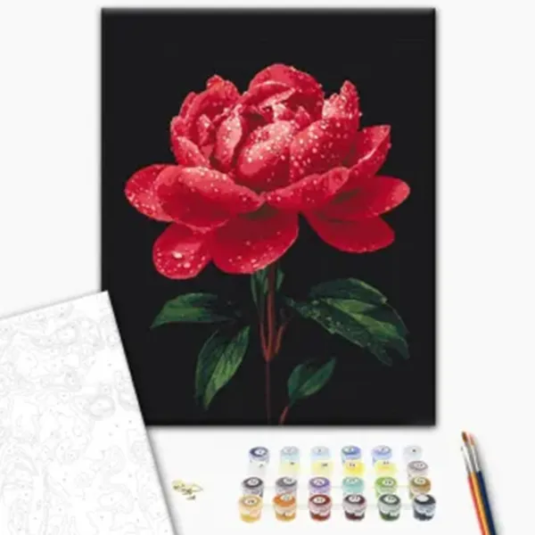 Pictură pe numere BrushMe Bujori în strălucirea rouăi BS54148  50 x 40 cm / Verticală photo 7