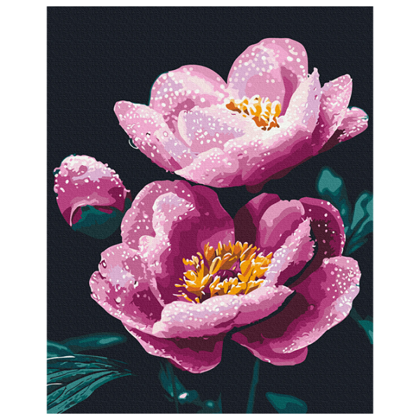 Pictură pe numere BrushMe Proaspătul de dimineață BS54155 50 x 40 cm / Verticală photo 1