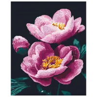 Pictură pe numere BrushMe Proaspătul de dimineață BS54155 50 x 40 cm / Verticală