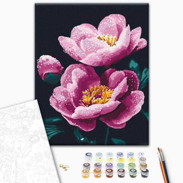 Pictură pe numere BrushMe Proaspătul de dimineață BS54155 50 x 40 cm / Verticală photo 3