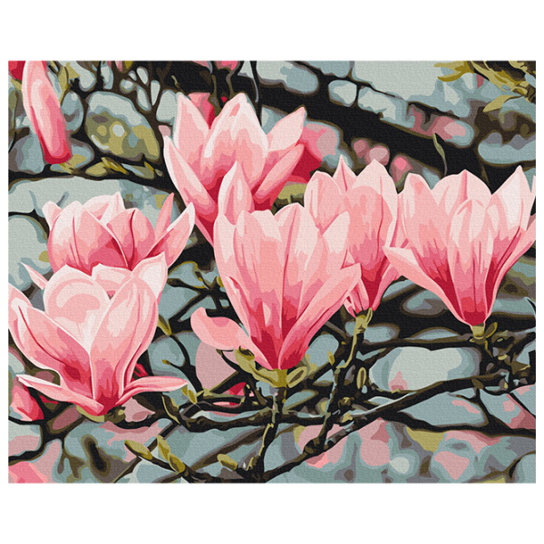 Pictură pe numere BrushMe Floarea magnoliei, Anastasiia Osmolovskaia BS54135  50 x 40 cm / Orizontală photo 1