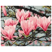 Картина по номерам BrushMe Цветение магнолии Анастасия Осмоловская BS54135  50 x 40 см / Горизонтальная