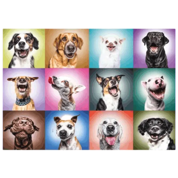 Puzzle Trefl Funny Dogs Faces 12+/ Numărul de piese: 1000 photo 2