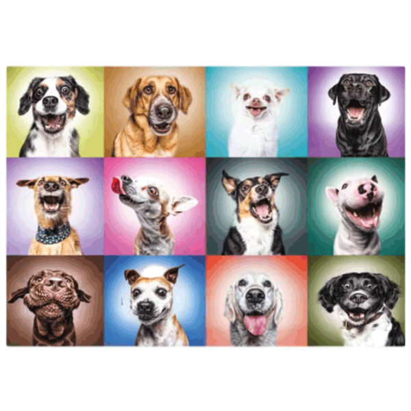 Puzzle Trefl Funny Dogs Faces 12+/ Numărul de piese: 1000 photo 2