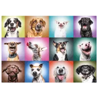 Puzzle Trefl Funny Dogs Faces 12+/ Numărul de piese: 1000 photo 2