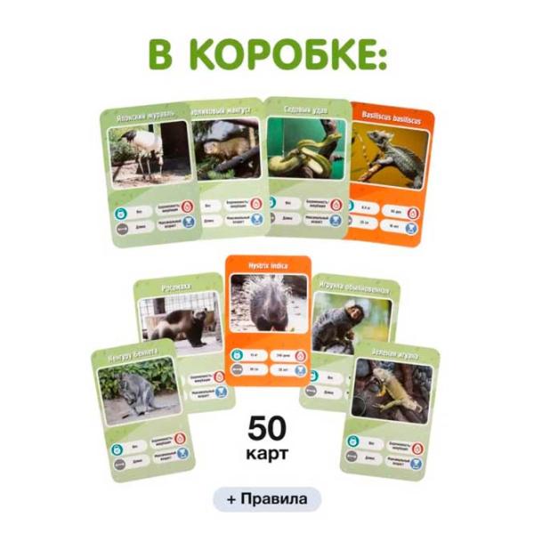 Joc de masă GaGa Games Este un fapt! Grădina Zoologică 8+/ Carti de joc photo 3