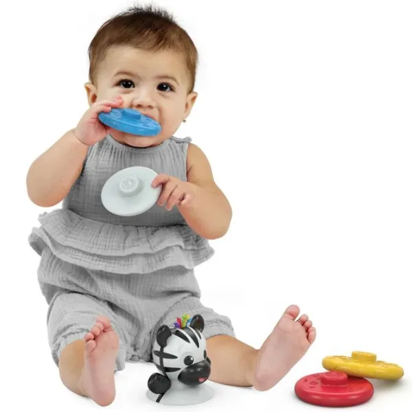 Zornăitoare muzicală Baby Einstein 16709  de la 3 luni photo 2