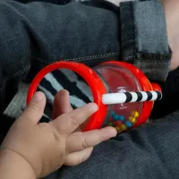 Zornăitoare muzicală Baby Einstein 16707 de la 3 luni photo 2