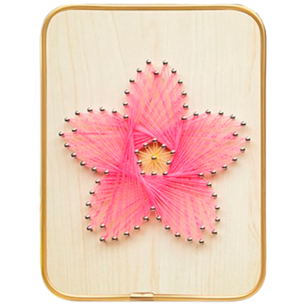 Set de creație HiStone String Art Floare roz DHBC28024 6+ / Multicolor photo 1 Set de creație HiStone String Art Floare roz DHBC28024 6+ / Multicolor photo 1