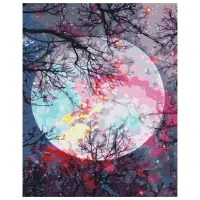 Pictură pe numere BrushMe Cu vedere la lună BS51423 50 x 40 cm / Verticală